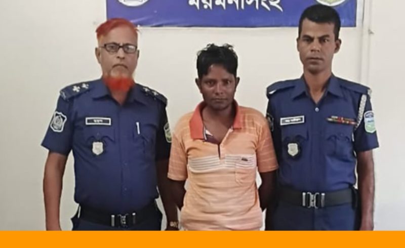 ময়মনসিংহের ফুলপুরে নাতিকে ধর্ষণ চেষ্টা, রক্ষা করতে গিয়ে দাদি খুন