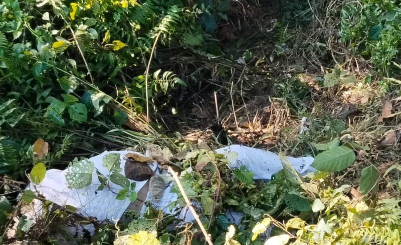শেরপুরের ঝিনাইগাতী গারো পাহাড়ের জঙ্গলে অর্ধগলিত নারীর মরদেহ উদ্ধার