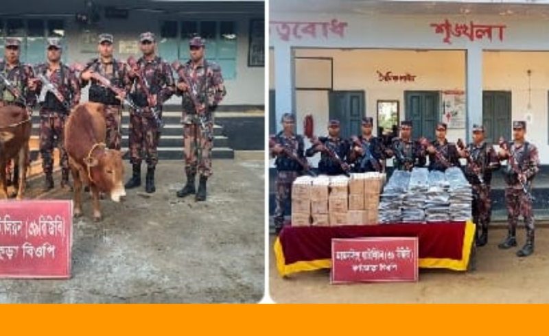 শেরপুর–ময়মনসিংহ সীমান্তে বিজিবি’র অভিযানে প্রায় কোটি টাকার চোরাচালানী মালামাল ও কাভার্ডভ্যান জব্দ