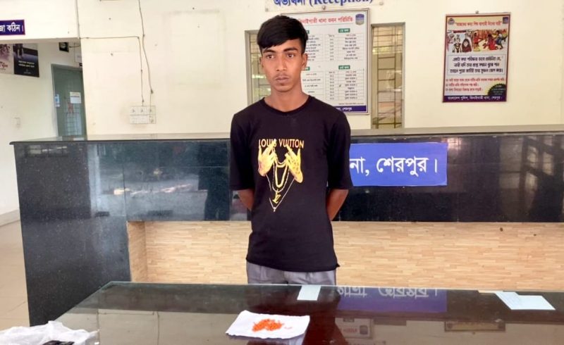 শেরপুরের ঝিনাইগাতীতে র‌্যাবের অভিযানে ১৪৮ পিস ইয়াবাসহ একজন গ্রেফতার