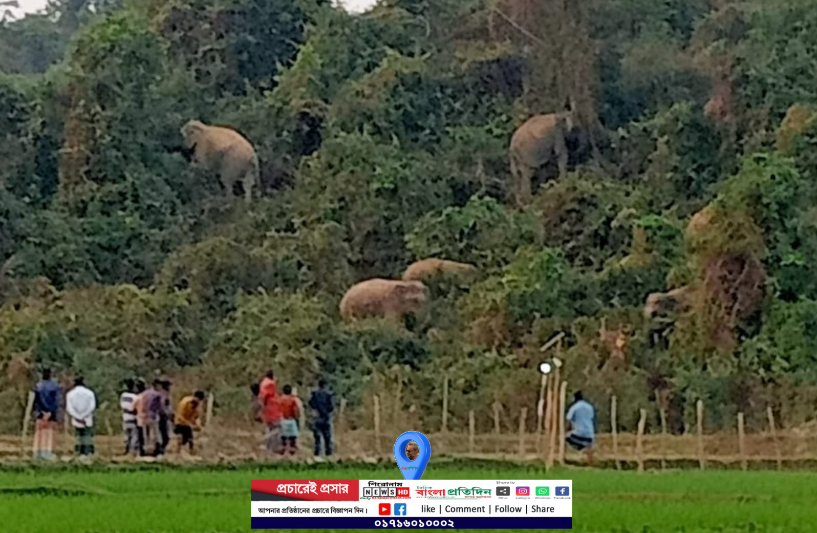 শেরপুরে সীমান্তবর্তীতে হাতিকে উত্যক্ত করে ভিডিও ধারণ,বাড়ছে প্রাণহানীর ঝুঁকি