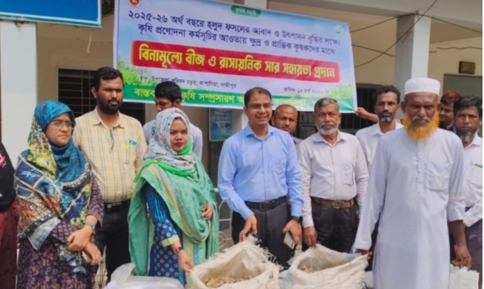 কাপাসিয়ায় কৃষকদের মাঝে হলুদ বীজ ও সার বিতরণ