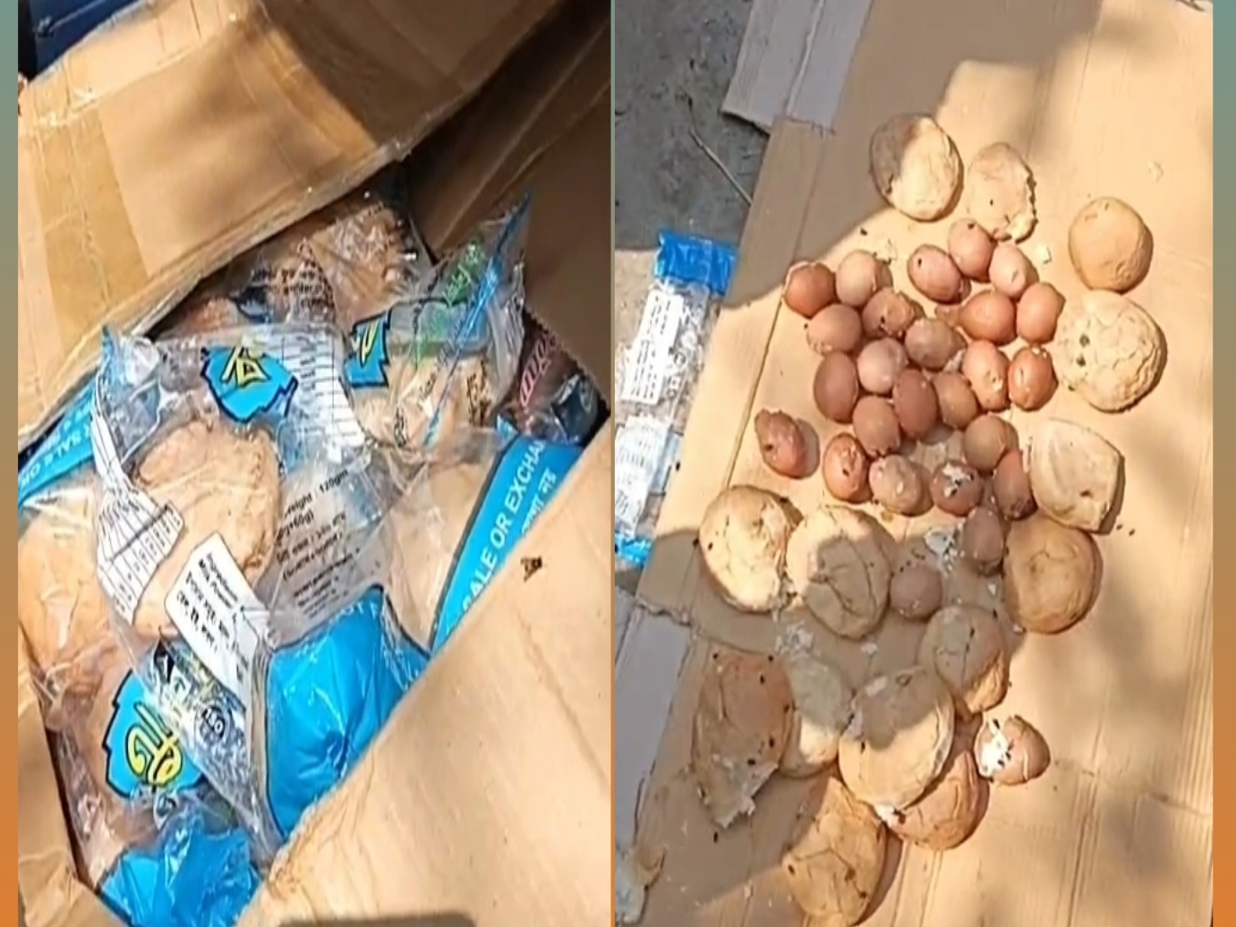 নাসিরনগরে স্কুল ফিডিংয়ের নামে বাচ্চাদের সাথে তামাশা কেন?